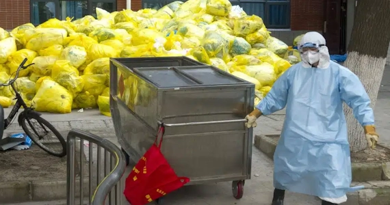 Recolección Especializada para Palmeras, Casinos y Alimentos en Villavicencio en villvo