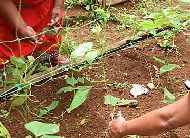 Participación en Iniciativas Globales