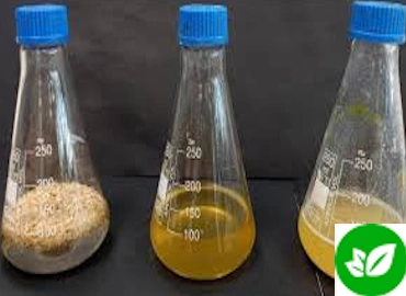 Recolección de Residuos de Medios de cultivo