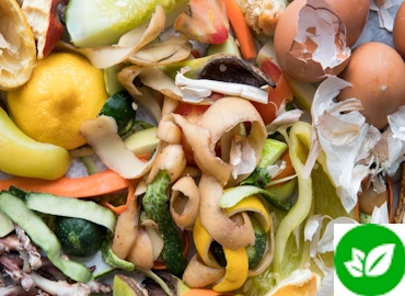 Recolección de Residuos de orgánicos