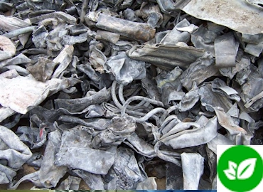 Recolección de Residuos de plomo