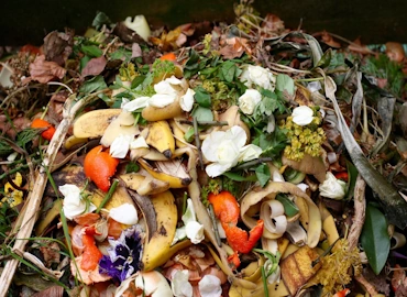 Soluciones para Empresas de Alimentación, Restaurantes y Hoteles